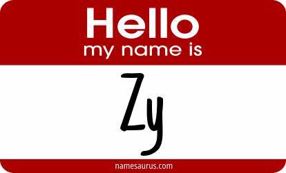 Hello my name is Zy png download